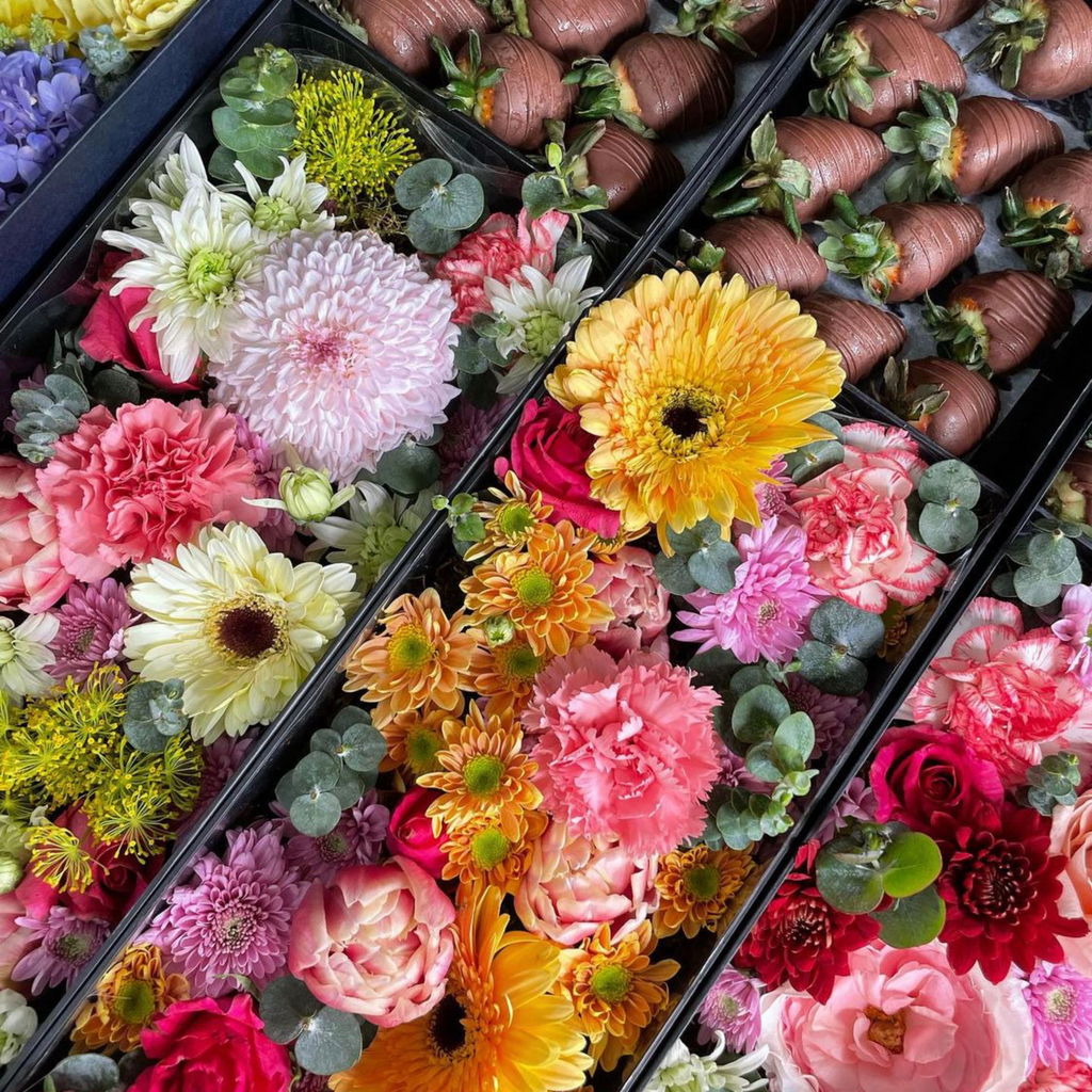Spring Sinta Box