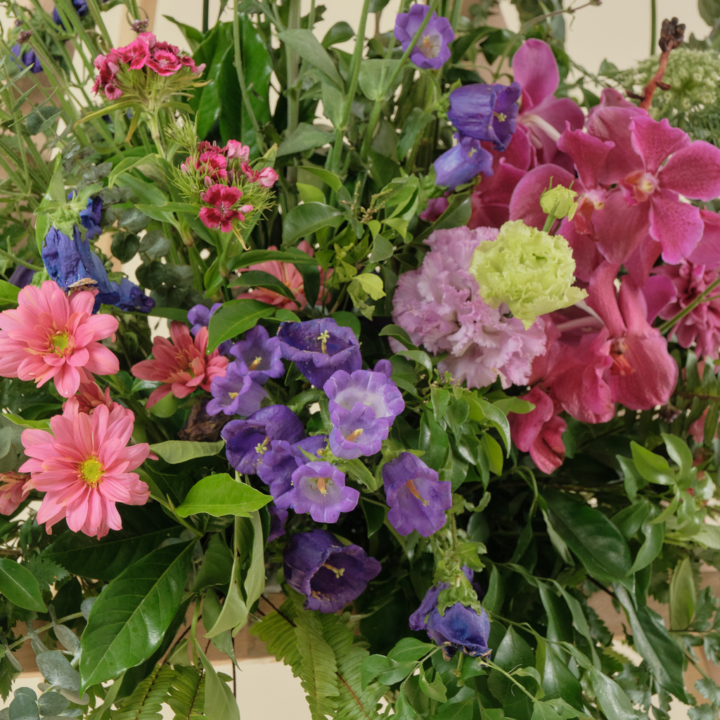 Fresh Flowers