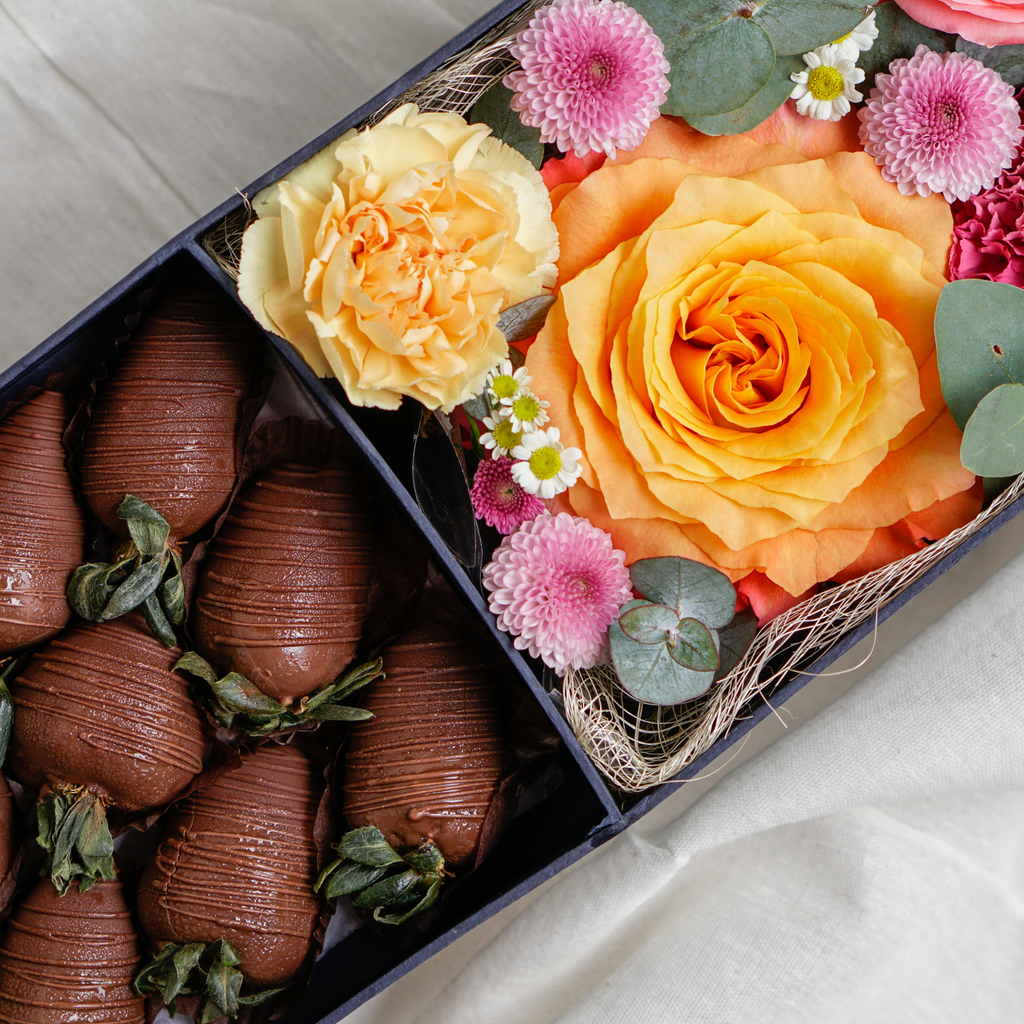 Spring Sinta Box