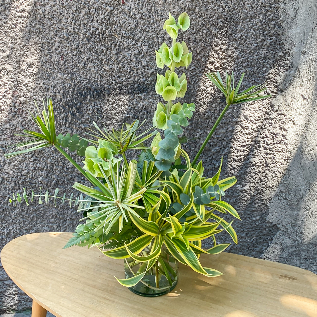 Fresh Foliage