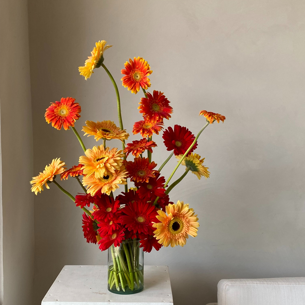 Daisies
